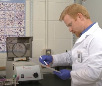 Клиника лечения наркозависимости в Лузе Врач в кабинете клиники